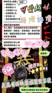 新竹定點茶-語煙：圖片